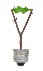 Similar image 1170501