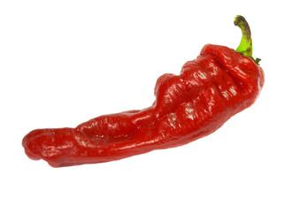 Similar image 1170527