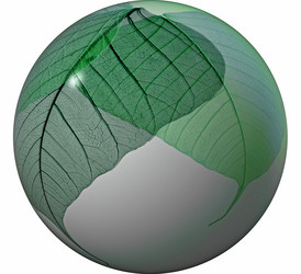 Similar image 1170530