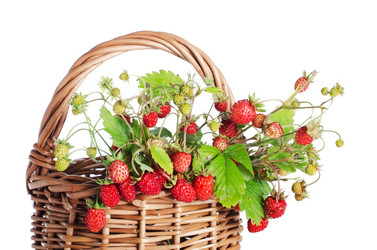 Similar image 1170607