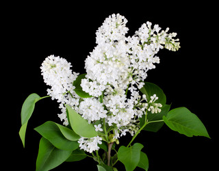 Similar image 1170610