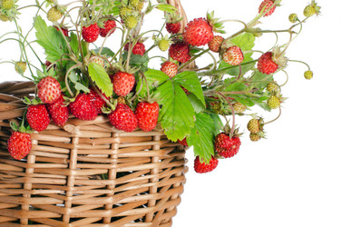 Similar image 1170631