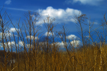 Similar image 1170650