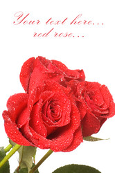 Similar image 1170651