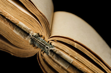 Similar image 1170687