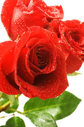 Similar image 1170690