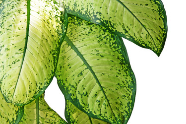 Similar image 1170718