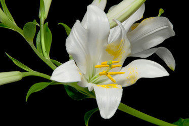 Similar image 1170720