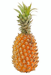 Similar image 1170721