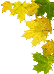 Similar image 1170722