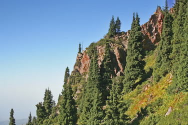 Similar image 1170731