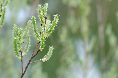 Similar image 1170760