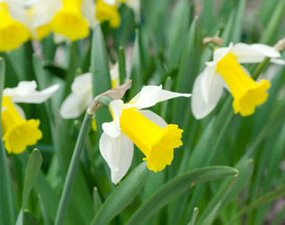 Similar image 1170761