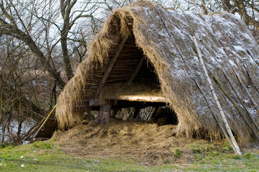 Similar image 1170839