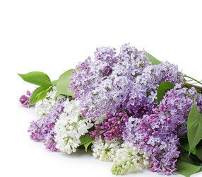 Similar image 1170864