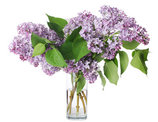 Similar image 1170867