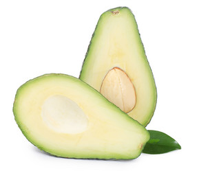 Similar image 1170874