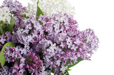 Similar image 1170938