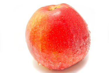 Similar image 1176812