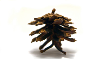 Similar image 1176983