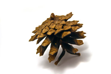 Similar image 1176984