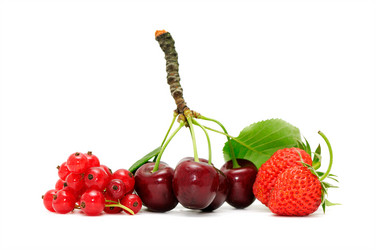 Similar image 1178054