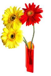 Similar image 1178062