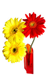 Similar image 1178063