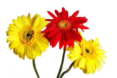 Similar image 1178064