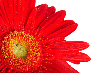 Similar image 1178065