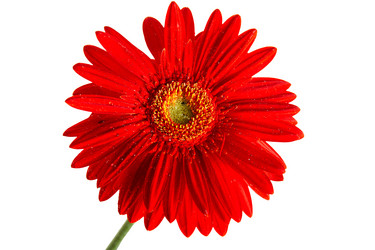 Similar image 1178067