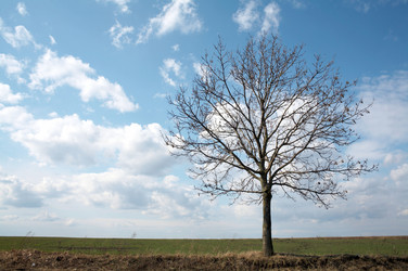 Similar image 1178100