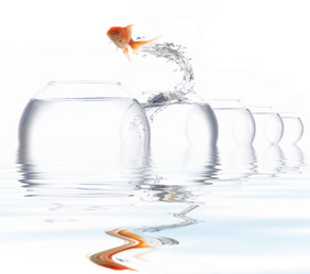 Similar image 1178104