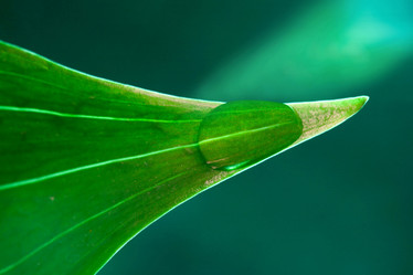 Similar image 1178118