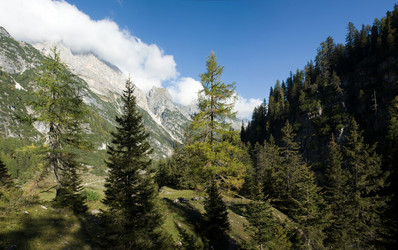 Similar image 1178121