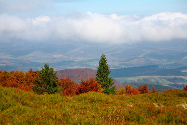 Similar image 1178122