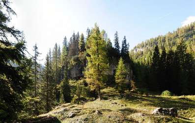 Similar image 1178124