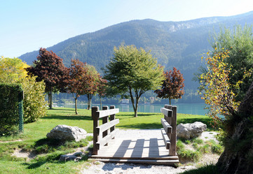 Similar image 1178129