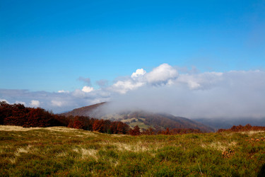 Similar image 1178136