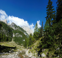 Similar image 1178139