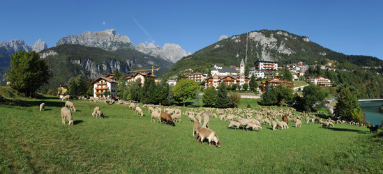 Similar image 1178150