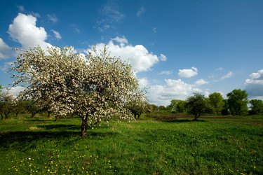 Similar image 1178159