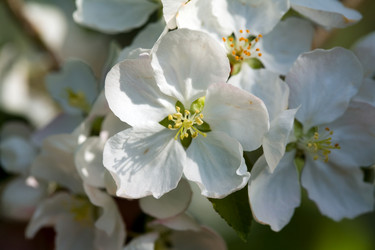 Similar image 1178166