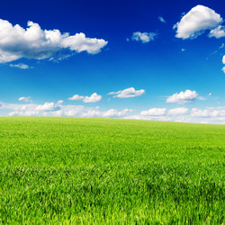 Similar image 1178175