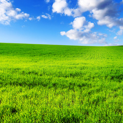 Similar image 1178178