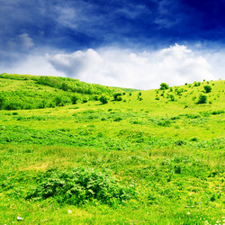 Similar image 1178185