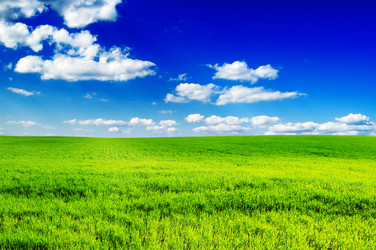 Similar image 1178189