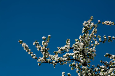 Similar image 1178193