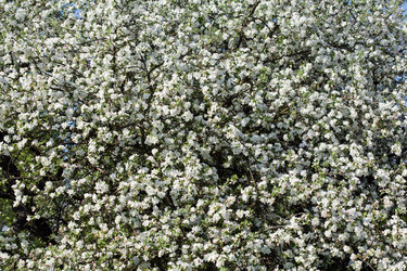 Similar image 1178195