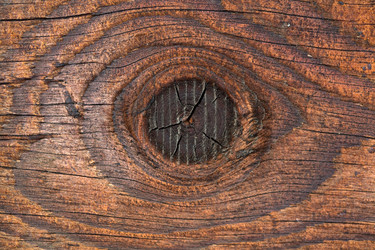 Similar image 1178198